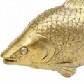 Floristik21 Deko Fisch Goldfarben, Statue zum Hinstellen, Fischskulptur Polyresin Klein L18cm