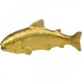 Floristik21 Deko Fisch zum Hinstellen, Fischskulptur Polyresin Golden Groß L25cm