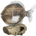Floristik21 Deko-Fisch Holz Aufsteller auf Wurzel Maritime Deko 27cm