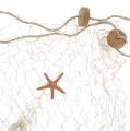 Floristik21 Fischernetz mit Meeresdeko Natur Polyresin 150×200cm als Wanddeko