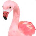Floristik21 Deko Flamingo mit Federn Rosa H45cm