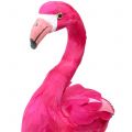 Floristik21 Dekovogel Flamingo Pink H46cm