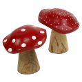 Floristik21 Fliegenpilz Holzpilz Mix 9cm -10,5cm Rot, Natur 8St