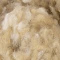 Schafwolle Beige 250g naturbelassen lose für Basteln und Dekoration | Floristik21.de