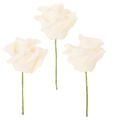 Floristik21 Künstliche Rose Cremefarbig 10 cm Blüte auf Drahtstiel 100 Stück