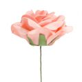 Floristik21 Foam Rose Schaumrose Lachs Ø15cm 4St