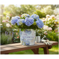 Übertopf Hortensien Metall Blumentopf Ø21cm H18cm | Floristik21.de