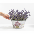 Blumenschale mit Griffen oval Metall Lavendel 26×13×14,5cm | Floristik21.de