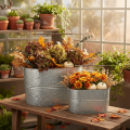 Pflanzschale mit Henkel, Metalltopf, Pflanzgefäß Silbern, Braun H22/20cm L42/40cm 2er-Set | Floristik21.de