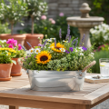 Schale oval 35cm x 21,5cm H11,5cm Zink glänzend | Floristik21.de