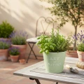 Blumentopf Zink Art of Nature Mintgrün Ø17,5cm H15cm | Floristik21.de