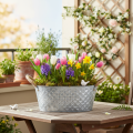 Zinkschale oval mit Seilgriffen 27cm x 17,5cm H12cm | Floristik21.de