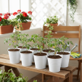 Metalleimer Weiß Ø12cm H10cm 8 St | Floristik21.de