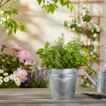 Deko Eimer Blumentopf Metall mit Seilgriffen Ø20cm | Floristik21.de
