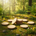 Mini Holz Baumscheiben Deko mit Rinde 8-9cm 9 Stk | Floristik21.de