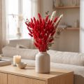 Deko-Gras Rot, Lagurus, Samtgras, Trockenfloristik L20–50cm 25g | Floristik21.de
