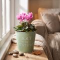 Blumentopf Zink Mintgrün Ø15cm H13,5cm | Floristik21.de