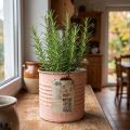 Blumentopf Deko Dose Lachs Metall Kräuterdose Ø8cm H7,5cm | Floristik21.de