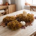 Künstliches Moos Deko Set Braun 10/12/14cm – Naturnahe Atmosphäre für Eventgestaltung & Deko-Projekte | Floristik21.de