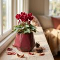 Blumentopf Keramik Übertopf Rot Sechseckig Ø10cm H9cm | Floristik21.de