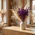 Samtgras Violett, Hasenschwanz-Gras, Lagurus L20-50cm 25g | Floristik21.de
