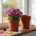 Pflanztopf Plastik Ø17cm 10St | Floristik21.de