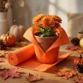 Floristen-Krepppapier Orange 50x250cm | Floristik21.de