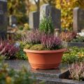 Pflanzschale aus Plastik Ø20cm Blumenschale Terrakotta 3St – Ideal für Floristen & Blumengeschäfte | Floristik21.de
