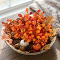Beerenbund Orange L20cm | Floristik21.de