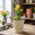 Topf aus Metall, Frühlingsdeko, Pflanzgefäß mit Henkeln Gelb Shabby Chic Ø18cm H17,5cm | Floristik21.de