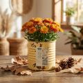 Deko Dose Sommer Apricot Metalldose Pflanztopf Ø8cm H7,5cm | Floristik21.de