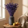 Erdbeerdisteln Trockendistel Distel Deko Violett 44-58cm 100g für florale Gestaltung | Floristik21.de