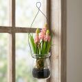 Traubenhyazinthe künstlich Rosa im Glas 16cm | Floristik21.de