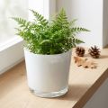 Übertopf aus Glas Weiß Ø11,5cm H11cm | Floristik21.de