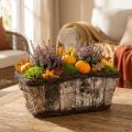 Pflanzkasten Pflanztopf Eckig Birke/Reben 28×14×11,5cm | Floristik21.de
