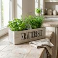 Vintage Blumenkasten Holz Kräuterkasten 35×11×15cm | Floristik21.de