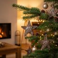 Öko-Chic Weihnachtsbaumschmuck Piniensterne Naturbraun 6cm Set 12tlg | Floristik21.de
