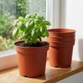 Pflanztopf Plastik Innentopf Ø15cm 10St | Floristik21.de