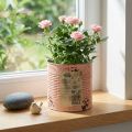 Blumentopf Deko Dose Lachs Metall Pflanzeimer Ø15,5cm H15cm | Floristik21.de