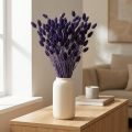 Phalaris Violett Getrocknetes Deko Gras 50-55cm 100g | Floristik21.de