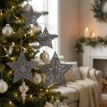 Weihnachtsstern mit Ornamenten Silbergrau sortiert 8cm - 12cm 9 St | Floristik21.de