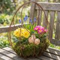 Drahtkorb, Pflanzgefäß aus Metall, Frühlingsdeko, Osterkorb Braun, Edelrost H34cm L30cm | Floristik21.de