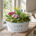 Blumenschale rund Pflanztopf Weiß Übertopf Metall 25×10cm | Floristik21.de