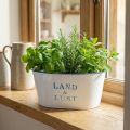 Blumenschale oval Pflanztopf Metall Weiß, Blau 26×17×12cm | Floristik21.de