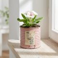 Blumentopf Deko-Dose rund Altrosa Metall Pflanzdose Ø8cm H7,5cm | Floristik21.de
