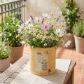 Deko Dose Apricot Pflanztopf Metall Sommerdeko Ø15,5cm H15cm | Floristik21.de