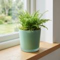 Glas Blumentopf Grün Übertopf Glaskübel Ø11,5cm H11cm | Floristik21.de