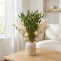 Hasenschwanzgras Lagurus Getrocknet Deko Grün 50-60cm 50g Trockenblumen | Floristik21.de