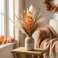 Lagurus Getrocknet Hasenschwanzgras Apricot Deko-Trockenblumen 55-60cm 50g | Floristik21.de
