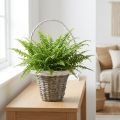 Weidenkorb Henkelkorb Grau Weiß Ø25 H45cm Deko Pflanzenkorb | Floristik21.de